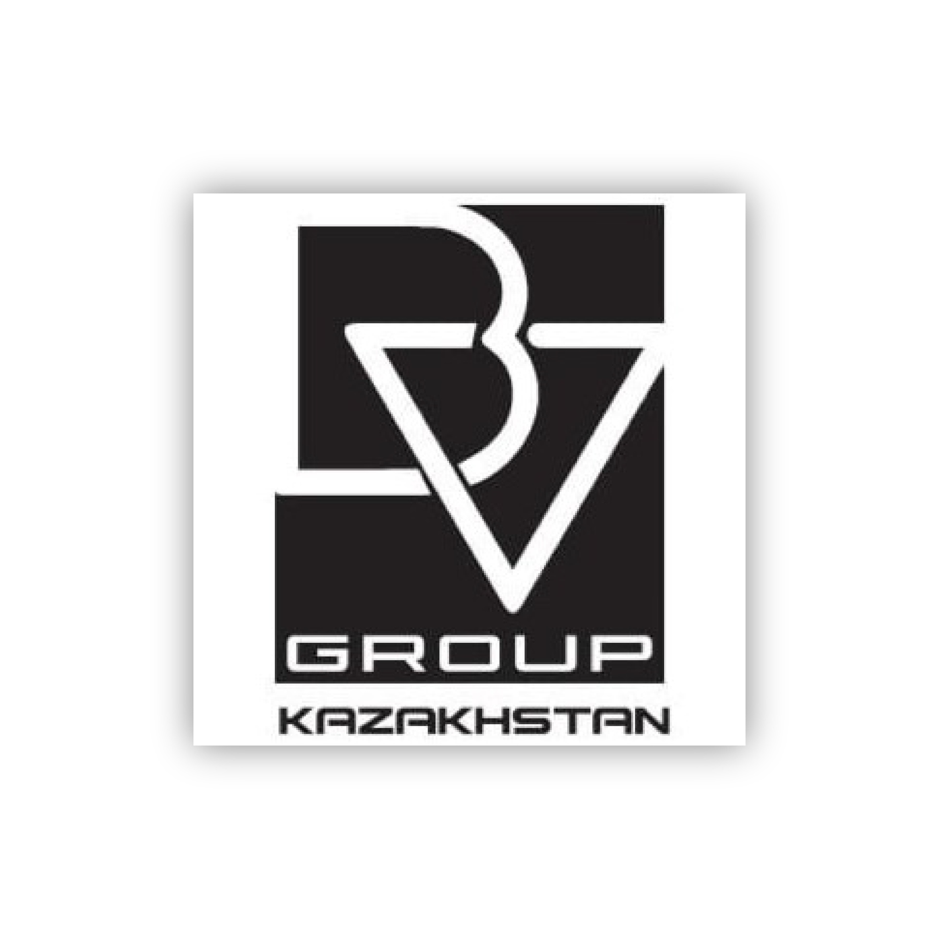 BV Group